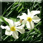 Health Articles
