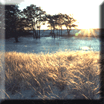 Photographic Images